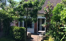 Green Garden House